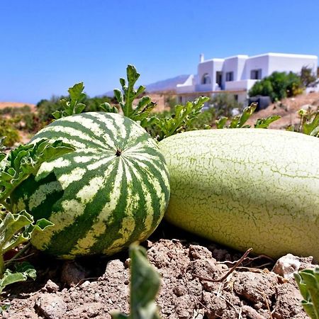 Appartamento Relaxia Estate Naxos Galini  Esterno foto