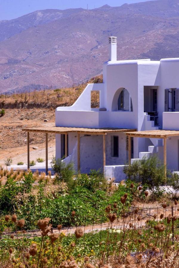 Appartamento Relaxia Estate Naxos Galini  Esterno foto